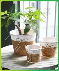 Dây giấy tự nhiên trang trí giỏ đựng cây